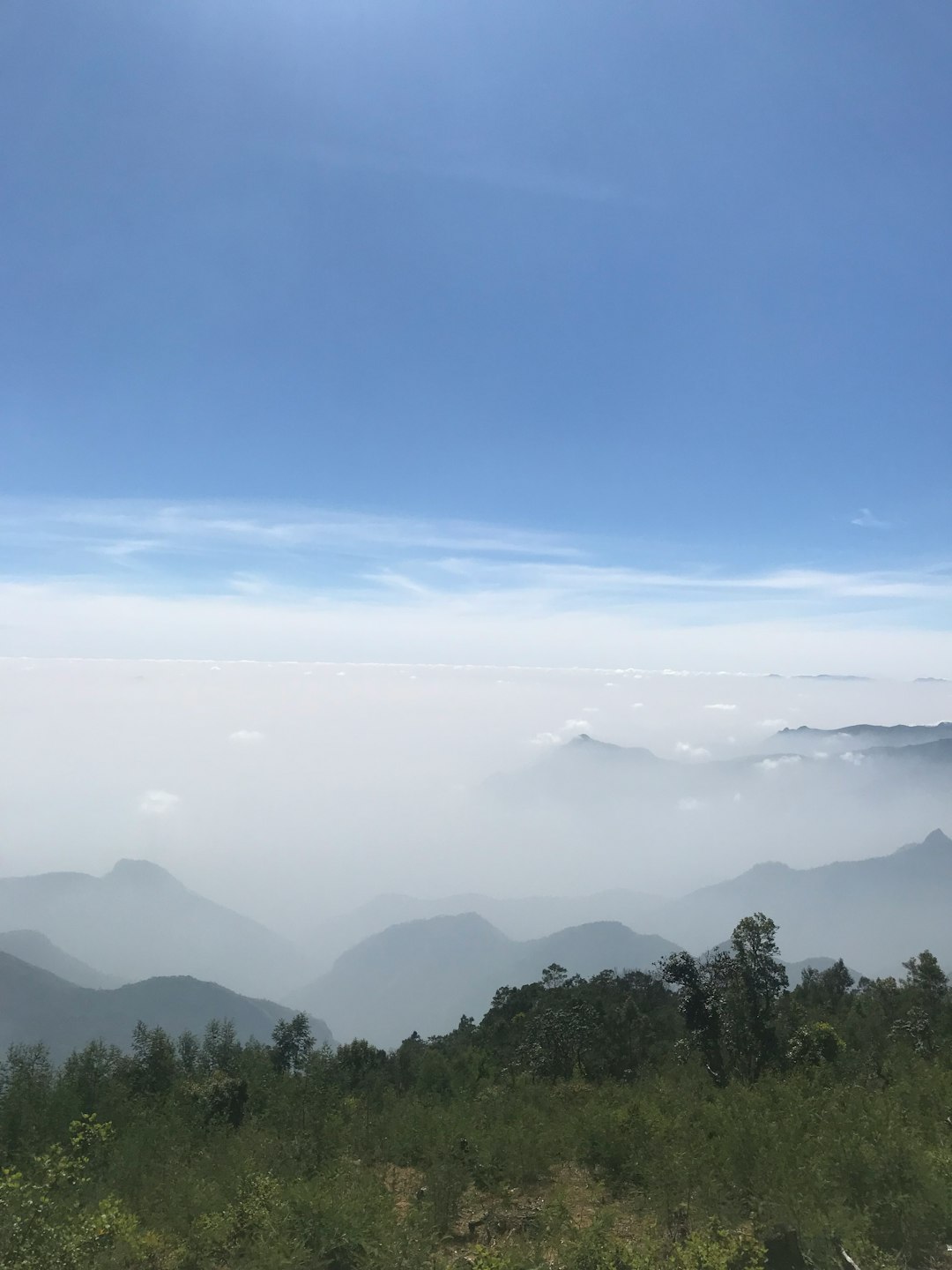 Pegunungan China tempat teh herbal berasal